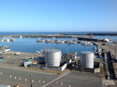 漁船が停泊している和具漁港。その向こうに広がる太平洋そして太平洋に浮かぶ大島・小島が一望できます。